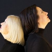 WingSpan Theatre Company Celebrates Its Twenty Second Season!