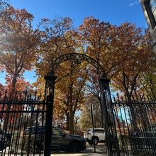 Student Blog: Falling Into Change