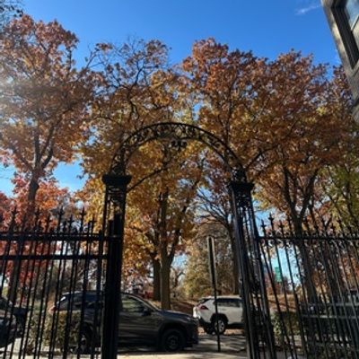 Student Blog: Falling Into Change