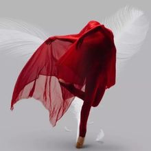 Review: THE WHITE FEATHER, A PERSIAN BALLET at Kennedy Center