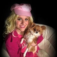 BWW Review: LEGALLY BLONDE at The Belmont Theatre Photo