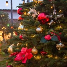 Casa Romantica Reveals Adjustment to Upcoming Winter Calendar