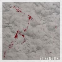 Violinist and Composer Halla Steinunn Stefánsdóttir to Release New Album STRENGUR i Interview