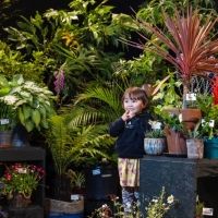 Plant Art Installation BE FESTIVAL Now Open In Birmingham