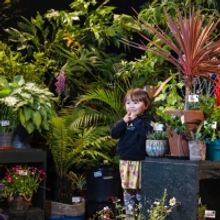 Plant Art Installation BE FESTIVAL Now Open In Birmingham
