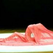 San Francisco Opera OPERA IS ON Streaming Performances Announced, June 20–July 4