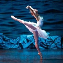 The Russian State Ballet & Opera House Presents SWAN LAKE at Venue Cymru in November
