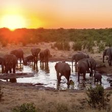 Multi-Sensory Experience ILLUMINARIUM to Debut At Chicago's Navy Pier in June