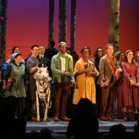 Encores! INTO THE WOODS Will Transfer to Broadway This Summer with Some Starry New…