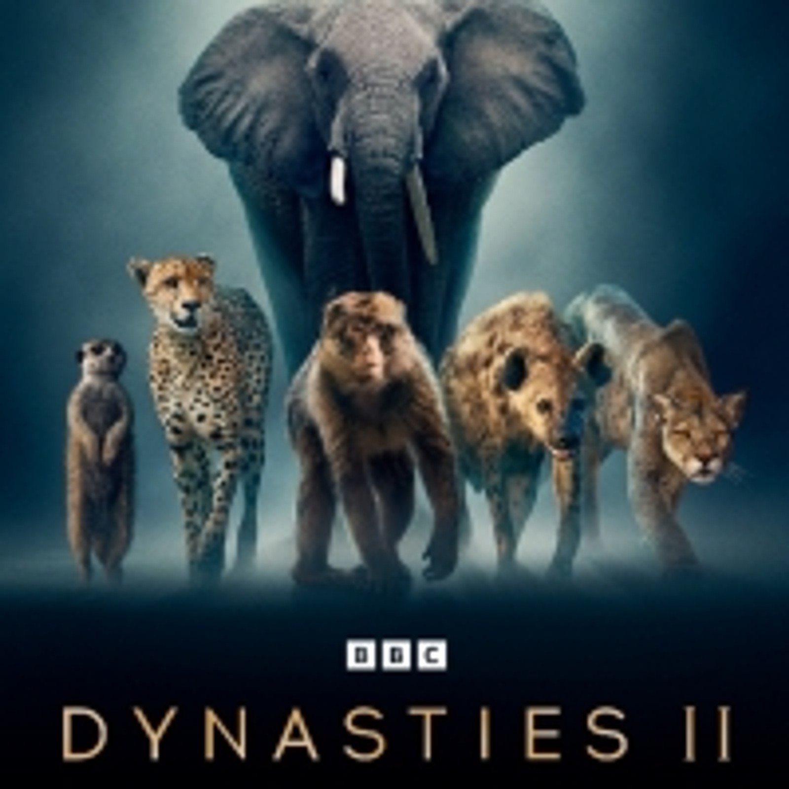 BBC America's Landmark Natural History Series DYNASTIES II Sets Return
