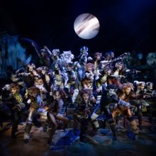 CATS Returns To Its Original Australian Home After 40 Years