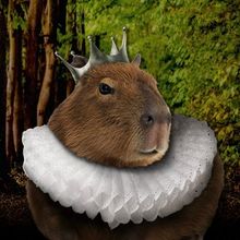 TWELFTH NIGHT to Open DREAM IN HIGH PARK