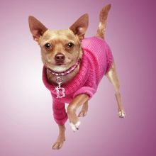 LEGALLY BLONDE THE MUSICAL Comes to Lone Star College-CyFair Next Month