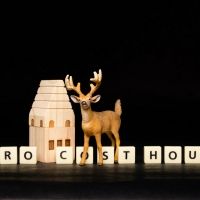 Pig Iron To Present ZERO COST HOUSE For Zoom