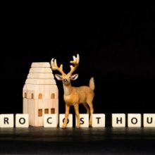 Pig Iron To Present ZERO COST HOUSE For Zoom