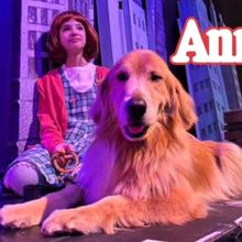 Review: ANNIE at Broadway Palm