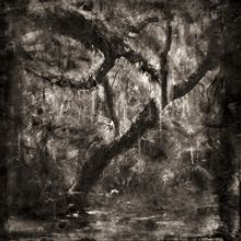 Palm Beach Photographic Centre Is Hosting FOTOfusion 2023 Next Month