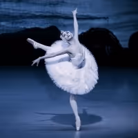 SWAN LAKE to Play at Seoul Arts Center
