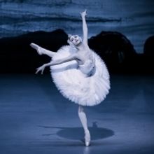 SWAN LAKE to Play at Seoul Arts Center