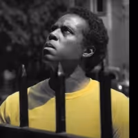 VIDEO: Ben Harney, Kecia Lewis and More Sing 'Lift Every Voice and Sing' in Support…