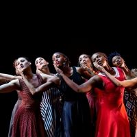 BWW REVIEW: BAM FISHER PRESENTS LEGACY WITH TWO DANCE COMPANIES at BAM Fisher
