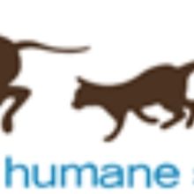 Hennepin Theatre Trust and Animal Humane Society Team Up To Celebrate The Spirit Of C