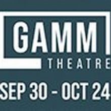 The Gamm Launches Fellowship Program For Emerging Artists Partners With RI's Public C