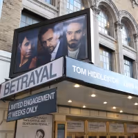 TV: Watch Broadway Strut the Red Carpet on Opening Night of BETRAYAL