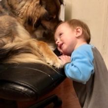 Bravo The Theatre Dog Celebrates International Dog Day!