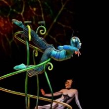Two Cirque Du Soleil Shows Are Coming To Arizona For The First Time