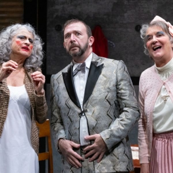 Hedgerow Theatre Extends Production Of Enda Walsh's THE NEW ELECTRIC BALLROOM Photo