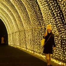 LIGHTSCAPE At Brooklyn Botanic Garden Open For The Holidays