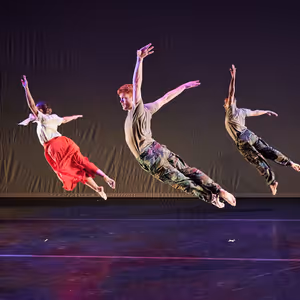 American Dance Guild And Clark Center NYC to Present THE POLITICS OF MOVEMENT
