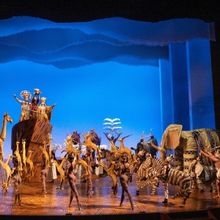Interview: Forest VanDyke of THE LION KING at BROADWAY AT THE HOBBY CENTER