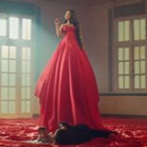 Video: Yailin La Más Drops Music Video for 'Narcisisita'