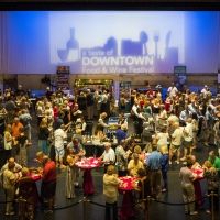 Sarasota Youth Opera Fundraiser Welcomes New Partners And Returning Favorites…