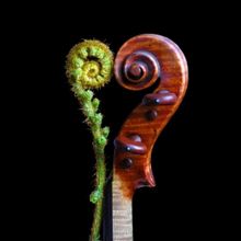 Tafelmusik Welcomes Summer with June Concerts at McMichael & Toronto Botanical Garde