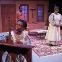 BWW Review: THE CONVERT mesmerizes at Frank Theatre