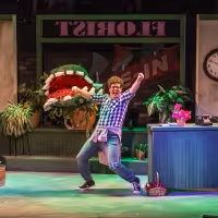 BWW Review: LITTLE SHOP OF HORRORS at Roxy's Downtown