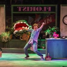 BWW Review: LITTLE SHOP OF HORRORS at Roxy's Downtown