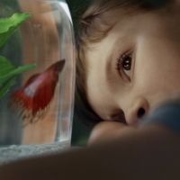 BWW Review: Julia Ngeow's A SCALE FOR HURT