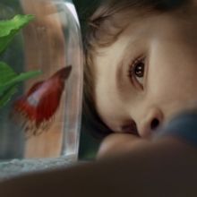 BWW Review: Julia Ngeow's A SCALE FOR HURT