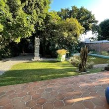 Voces Arbóreas: Diálogos Entre Raíces, Charla Sobre La Coexistencia Con El Mundo N