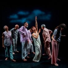 Laura Pawel Dance Co. is Coming to Alchemical Studios