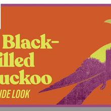 Video: A BLACK-BILLED CUCKOO at La Jolla Playhouse: Jess and Eric Talk