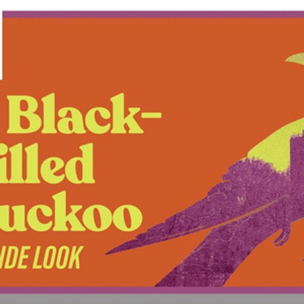 Video: A BLACK-BILLED CUCKOO at La Jolla Playhouse: Jess and Eric Talk Photo