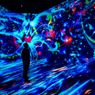 TWILIGHT ZONE: HIDDEN WONDERS OF THE OCEAN to Open at ARTECHOUSE NYC
