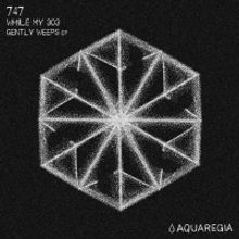 747 Makes A Thunderous Return With 'While My 303 Gently Weeps' EP