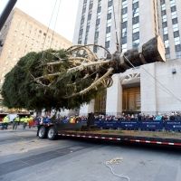 Family Activities Accompany the Arrival of the 2019 Rockefeller Center Christmas Tree