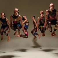 Stephen Petronio Company Announces Online Programming and More